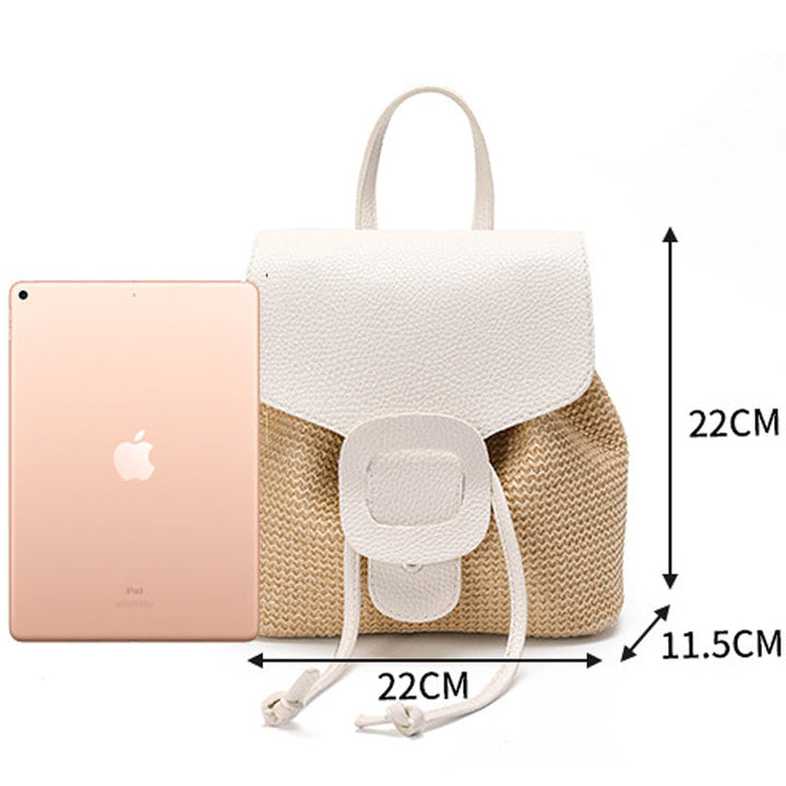 Travel Woven Bag